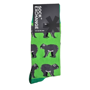 Sock Exchange - Koala